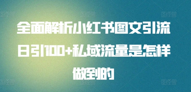 日引流100私域流量小红书图文是怎样做到的全面解析-IT吧