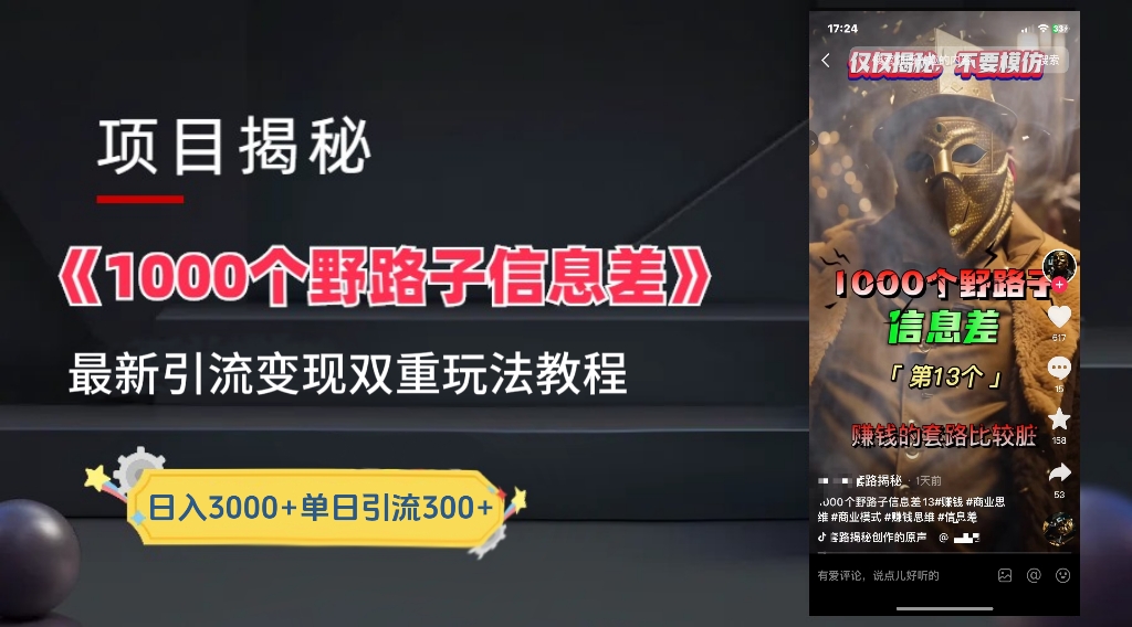 一千个野路子信息差24年最新玩法教程附带变现方法和引流的玩法具体拆解-IT吧