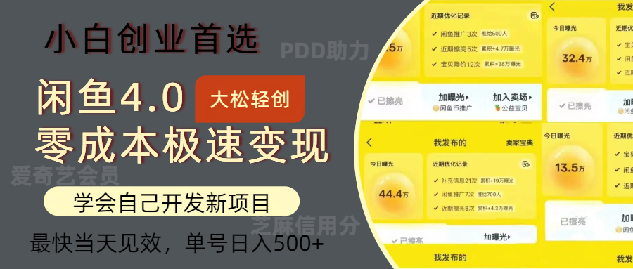 闲鱼0成本极速变现项目，多种变现方式，单号日入500+最新玩法-IT吧