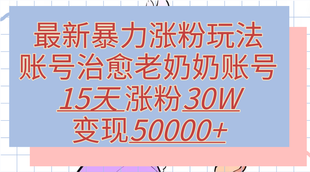 最新暴力涨粉玩法，治愈老奶奶账号，15天涨粉30W，变现50000+【揭秘】-IT吧