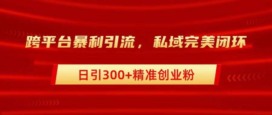 跨平台暴力引流，私域完美闭环，日引300+精准创业粉-IT吧