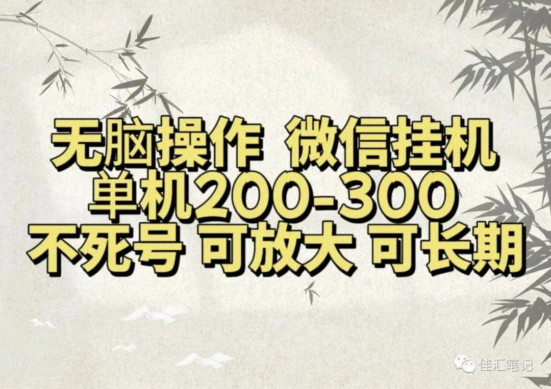 无脑操作微信视频号挂机单机200-300一天，不死号，可放大，工作室实测-IT吧