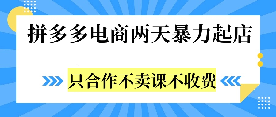 拼多多两天暴力起店，只合作不卖课不收费-IT吧