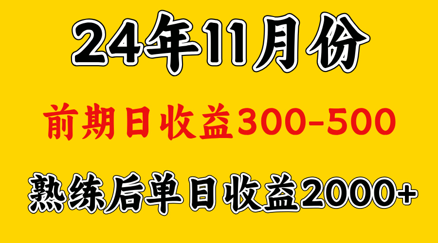 轻资产项目，前期日收益500左右，后期日收益1500-2000左右，多劳多得-IT吧