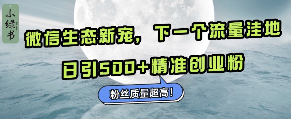 微信生态新宠小绿书：下一个流量洼地，粉丝质量超高，日引500+精准创业粉，-IT吧