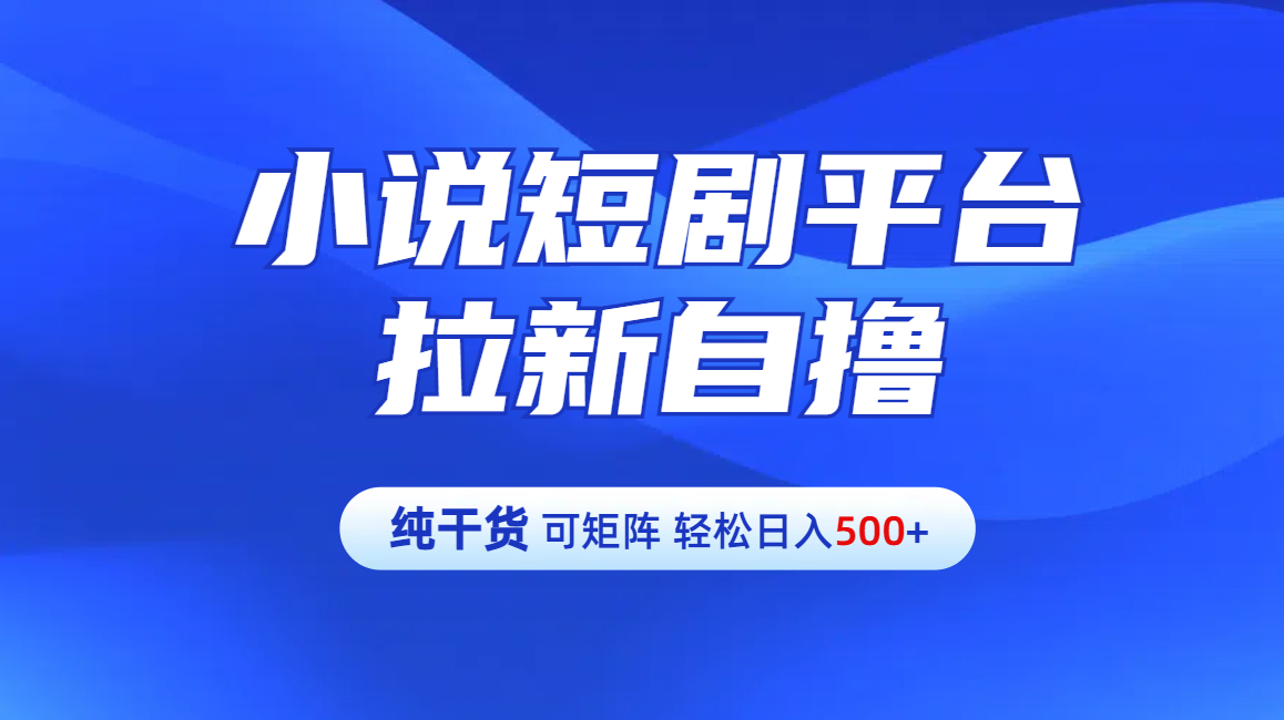 【纯干货】小说短剧平台拉新自撸玩法详解-单人轻松日入500+-IT吧