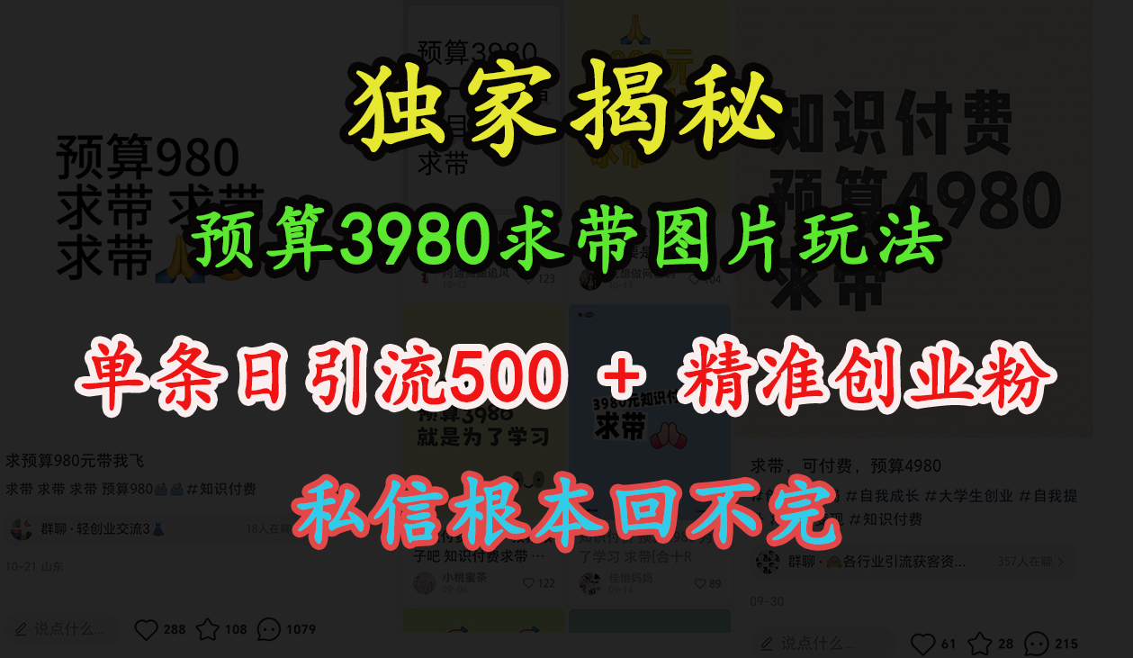 “小红书”预算3980求带 图片玩法，单条日引流500+精准创业粉，私信根本回不完-IT吧