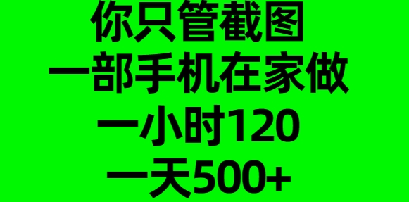 你只管截图，一部手机在家做，一小时120，一天500+-IT吧