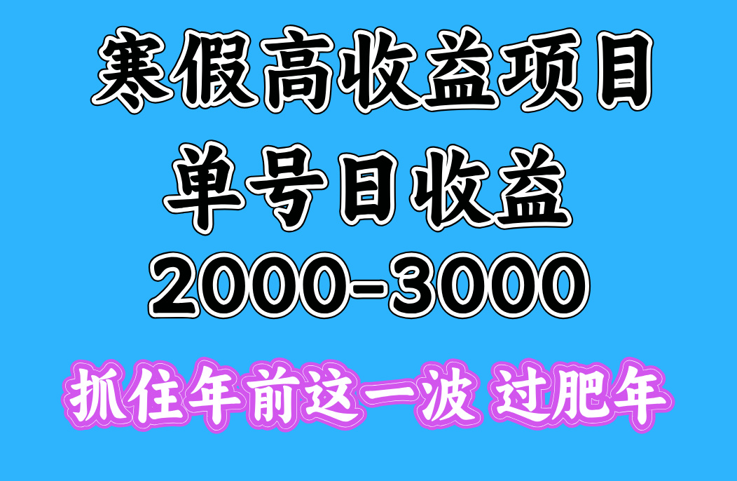 寒假期间一天收益2000-3000+，抓住年前这一波-IT吧