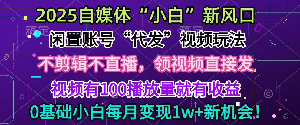 2025每月躺赚5w+新机会，闲置视频账号一键代发玩法，0粉不实名不剪辑，领了视频直接发，0基础小白也能日入300+-IT吧