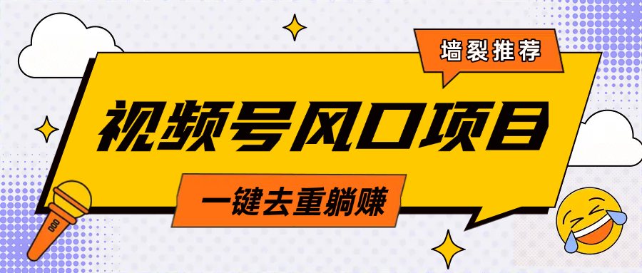 视频号风口蓝海项目，中老年人的流量密码，简单无脑，一键去重，轻松月入过万-IT吧