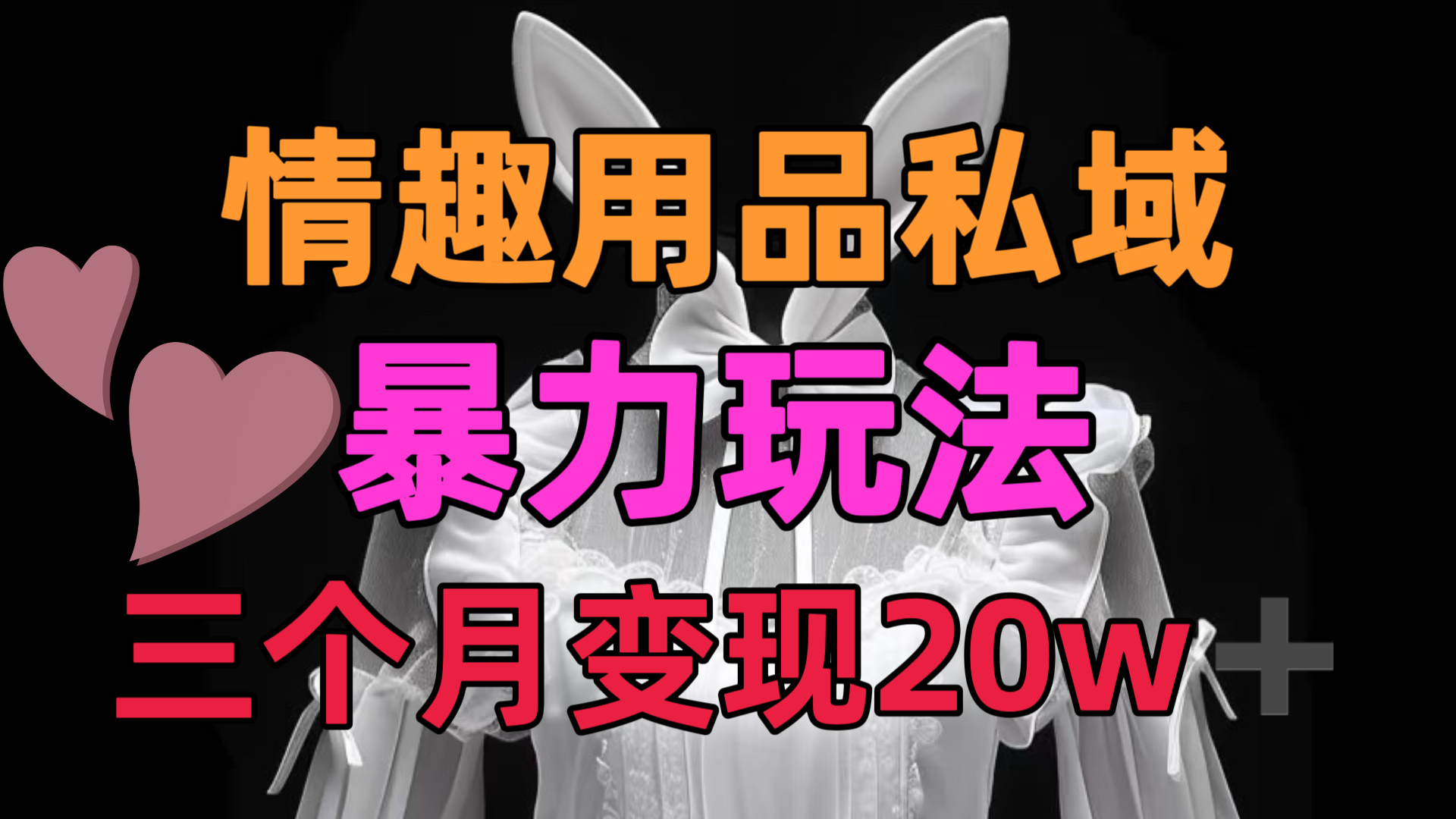 情趣用品私域，25年最新暴力玩法，三个月变现20w➕-IT吧