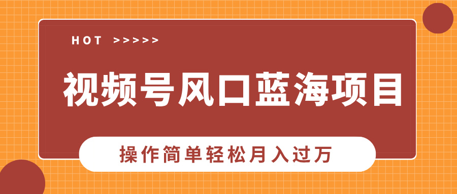 视频号风口蓝海项目，中老年人的流量密码，操作简单轻松月入过万-IT吧