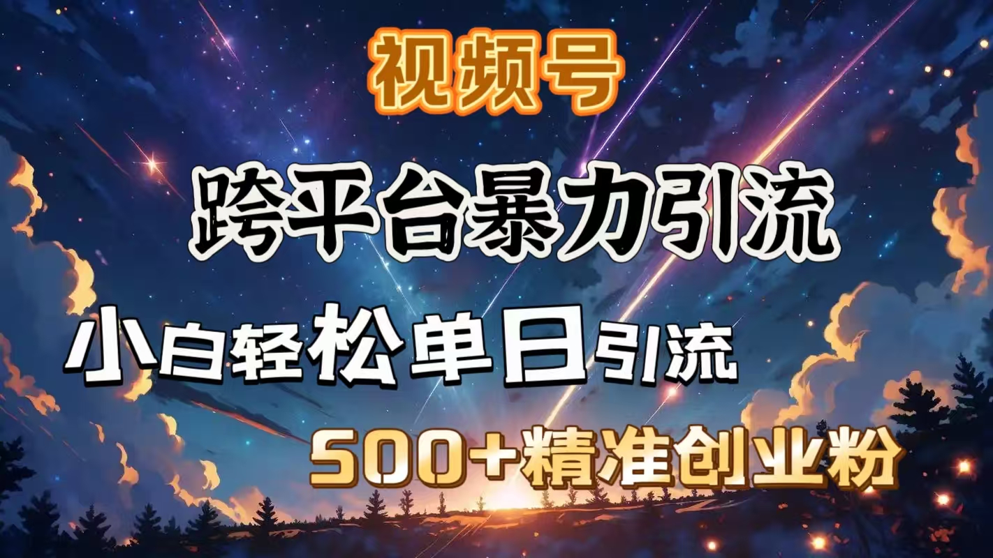 视频号跨平台暴力引流，小白轻松单日引流500＋精准创业粉-IT吧