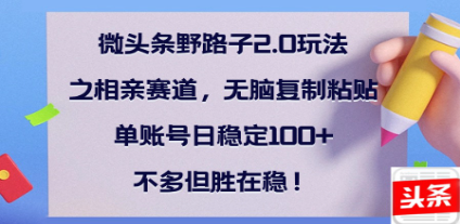 全网首发微头条野路子2.0玩法之相亲赛道，无脑搬砖复制粘贴，单账号日稳定300+保姆级教程-IT吧