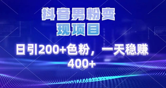 2025最新男粉项目 日引200 轻松月入2w+-IT吧