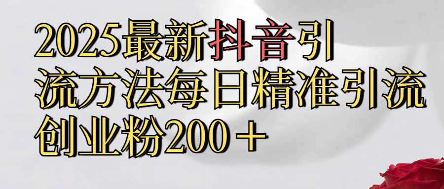 2025最新,抖音引流,方法每日精准引流创业粉300＋-IT吧