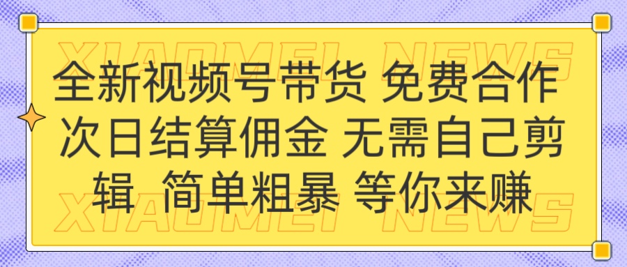 全新视频号 免费合作 佣金次日结算 无需自己剪辑-IT吧