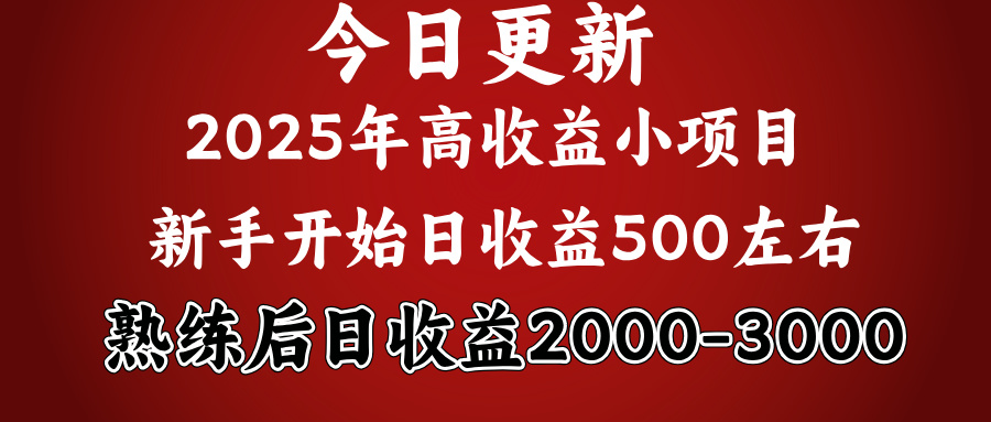 2025开年好项目，新手日收益500+ 熟练掌握后，日收益平均2000多-IT吧