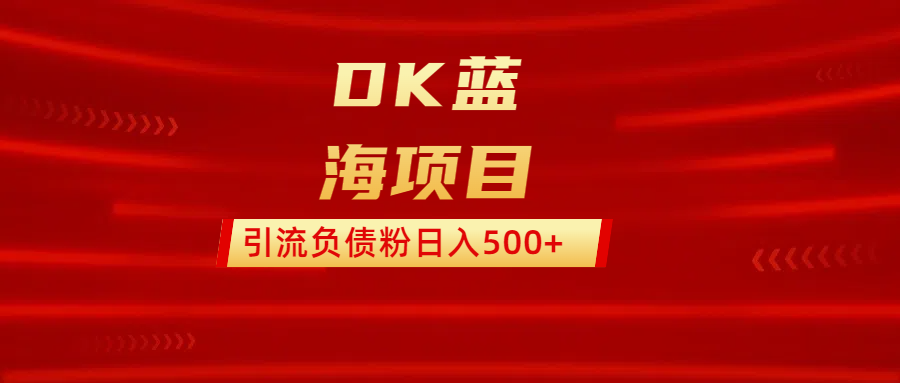 DK蓝海项目  通过，抖音，快手，小红书，引流负债粉日入500+-IT吧