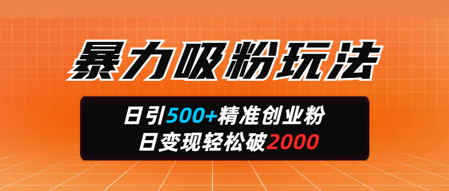 暴力吸粉玩法，日引500+精准创业粉，日变现轻松破2000-IT吧