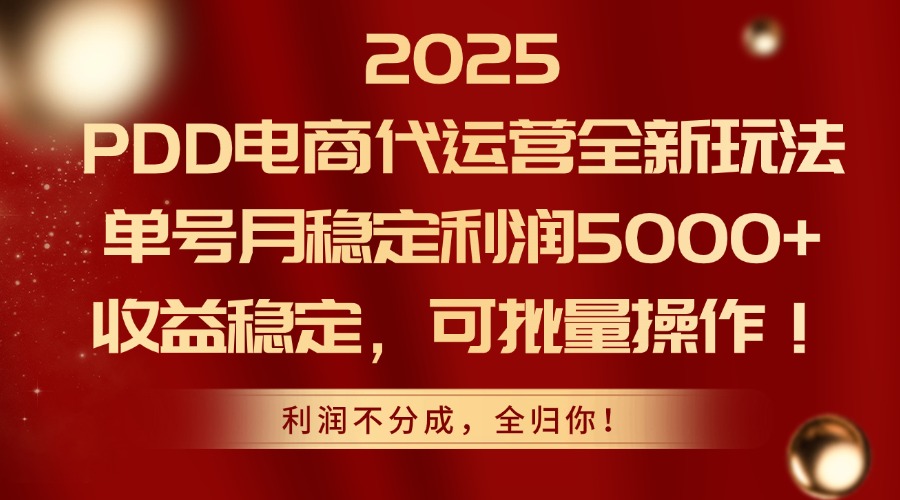 2025 PDD电商代运营全新玩法，单号月稳定利润5000+，收益稳定，可批量操作！-IT吧