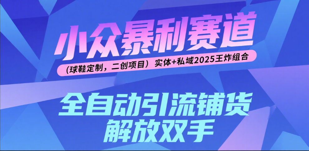 楠—小众暴利赛道（球鞋定制，二创项目）实体+私域2025王炸组合-IT吧