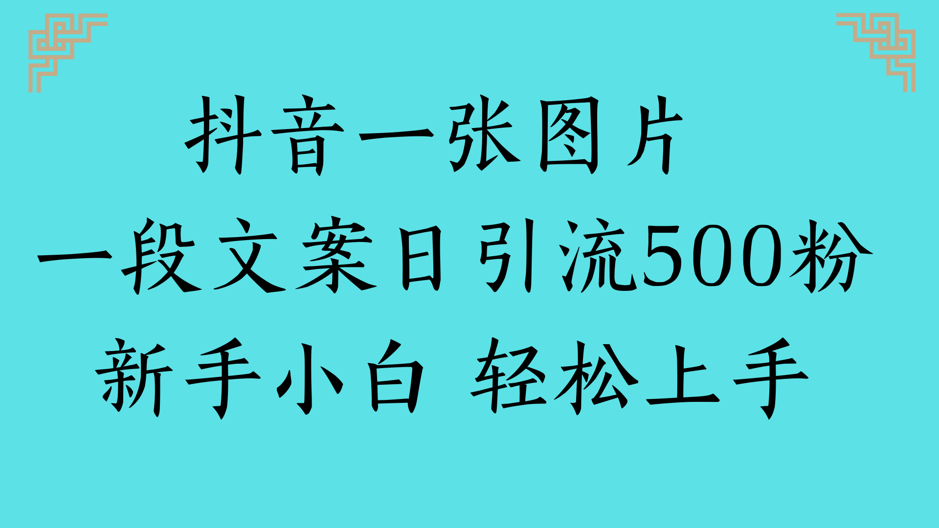 抖音一张图片 一段文案日引流500粉新手小白 轻松上手-IT吧