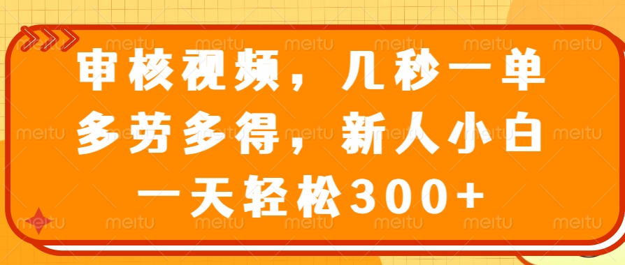 视频审核员，几秒一单，多劳多得，新人小白一天轻松300+-IT吧