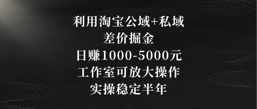 利用淘宝公域+私域差价掘金，日赚1000-5000元，工作室可放大操作，实操...-IT吧