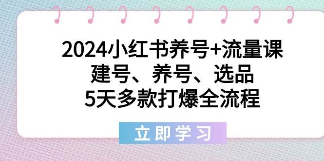 2024小红书养号+流量课：建号、养号、选品，5天多款打爆全流程-IT吧