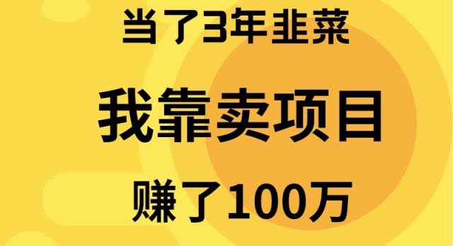 当了3年韭菜，我靠卖项目赚了100万-IT吧