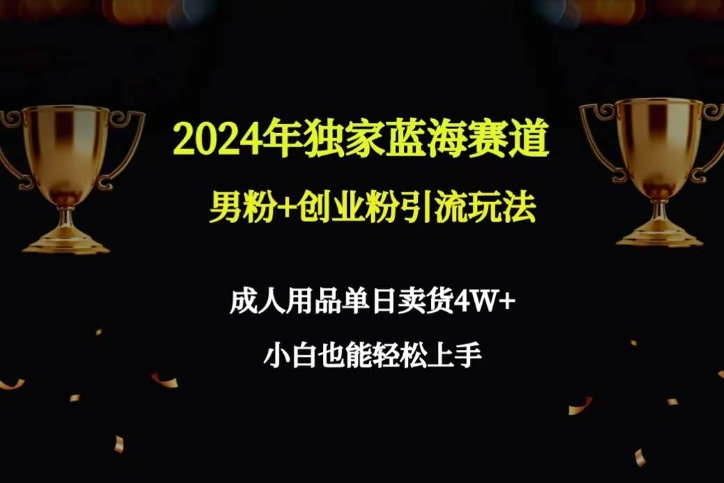 2024年独家蓝海赛道男粉+创业粉引流玩法，成人用品单日卖货4W+保姆教程-IT吧