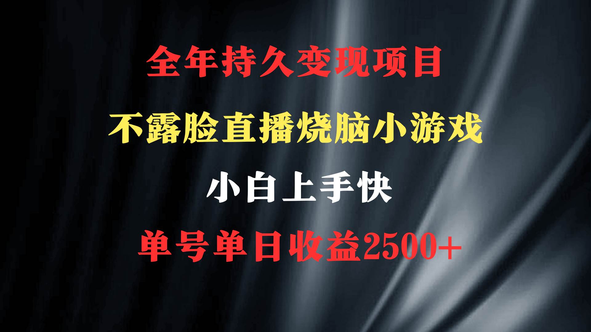 2024年 最优项目，烧脑小游戏不露脸直播  小白上手快 无门槛 一天收益2500+-IT吧