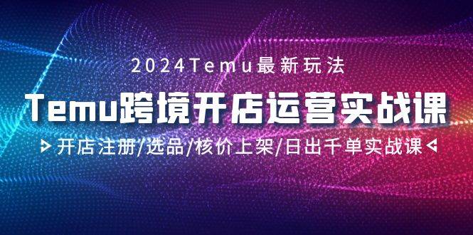 2024Temu跨境开店运营实战课，开店注册/选品/核价上架/日出千单实战课-IT吧