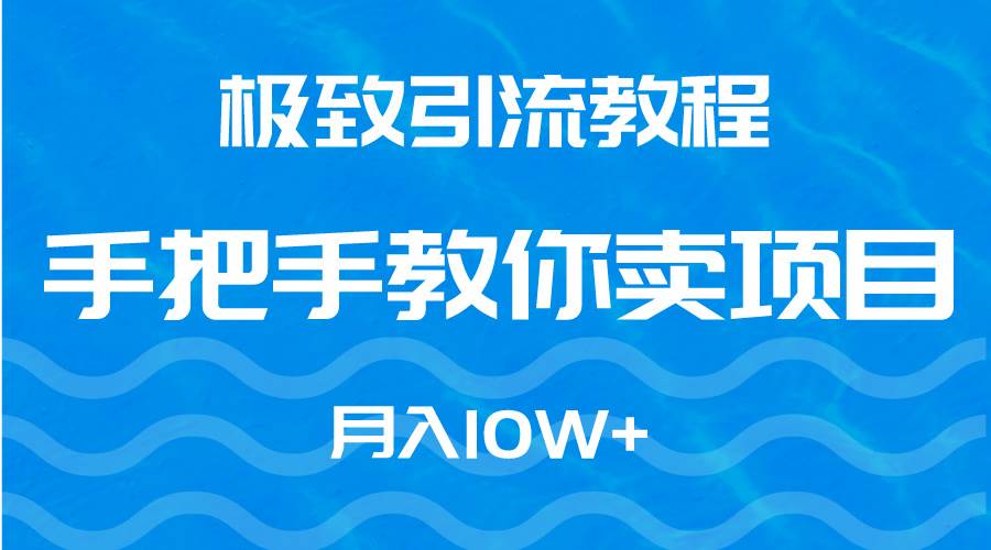 极致引流教程，手把手教你卖项目，月入10W+-IT吧