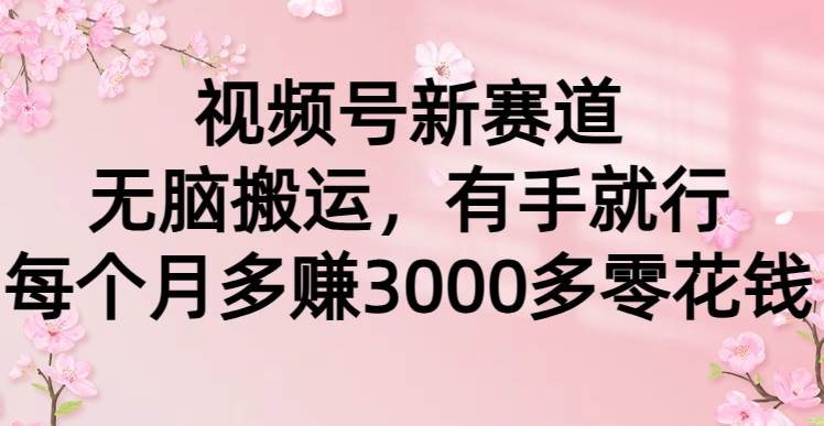 视频号新赛道，无脑搬运，有手就行，每个月多赚3000多零花钱-IT吧