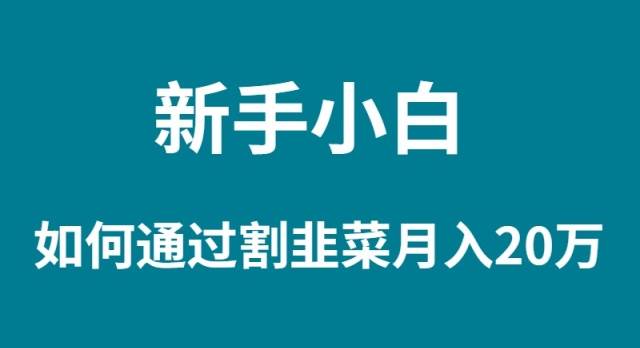 新手小白如何通过割韭菜月入 20W-IT吧