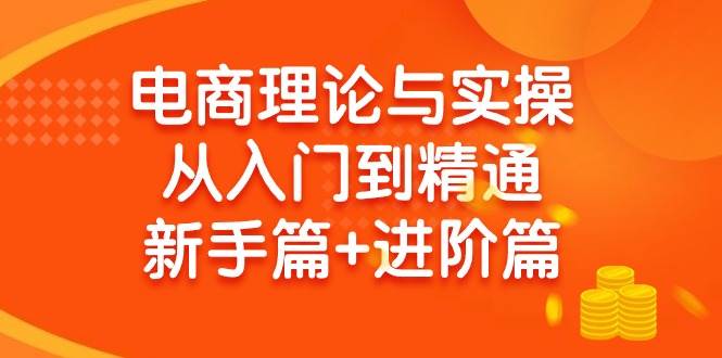 电商理论与实操从入门到精通 新手篇+进阶篇-IT吧