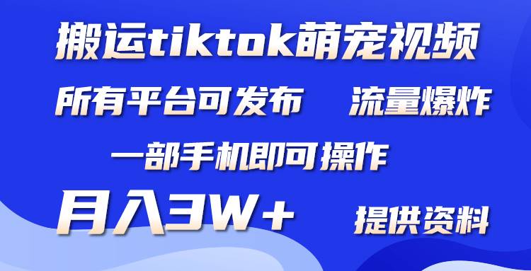 搬运Tiktok萌宠类视频，一部手机即可。所有短视频平台均可操作，月入3W+-IT吧