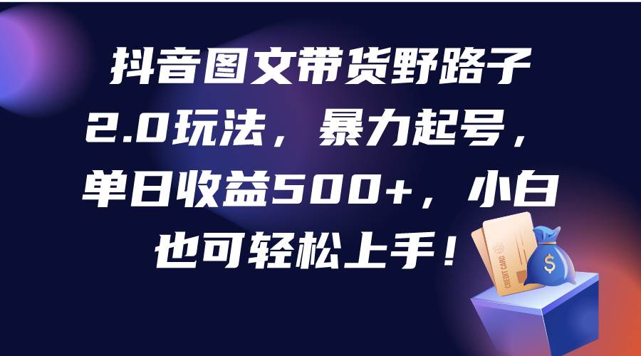 抖音图文带货野路子2.0玩法，暴力起号，单日收益500+，小白也可轻松上手！-IT吧