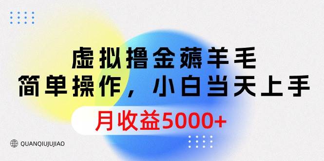 虚拟撸金薅羊毛，简单操作，小白当天上手，月收益5000+-IT吧