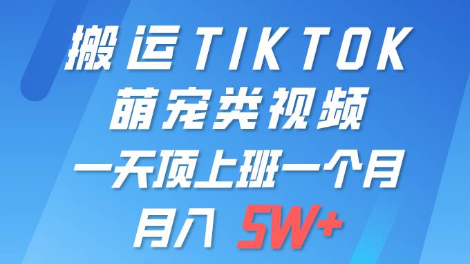 一键搬运TIKTOK萌宠类视频 一部手机即可操作 所有平台均可发布 轻松月入5W+-IT吧