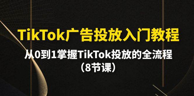 TikTok广告投放入门教程，从0到1掌握TikTok投放的全流程（8节课）-IT吧