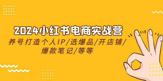 2024小红书电商实战营，养号打造IP/选爆品/开店铺/爆款笔记/等等（24节）-IT吧