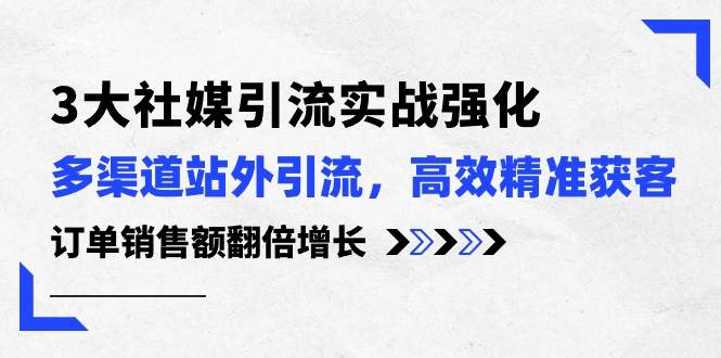 3大社媒引流实操强化，多渠道站外引流/高效精准获客/订单销售额翻倍增长-IT吧