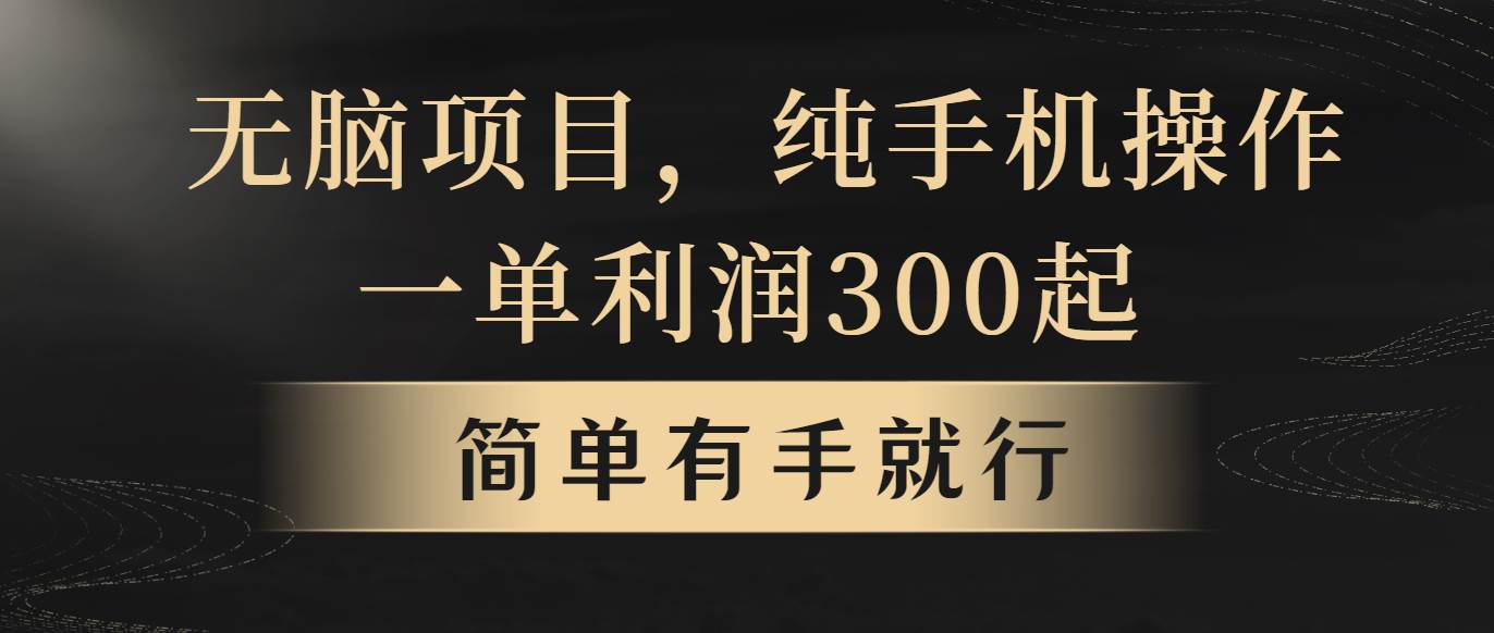 无脑项目，一单几百块，轻松月入5w+，看完就能直接操作-IT吧