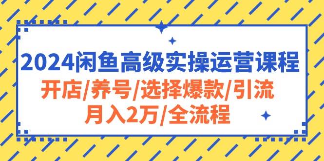 2024闲鱼高级实操运营课程：开店/养号/选择爆款/引流/月入2万/全流程-IT吧