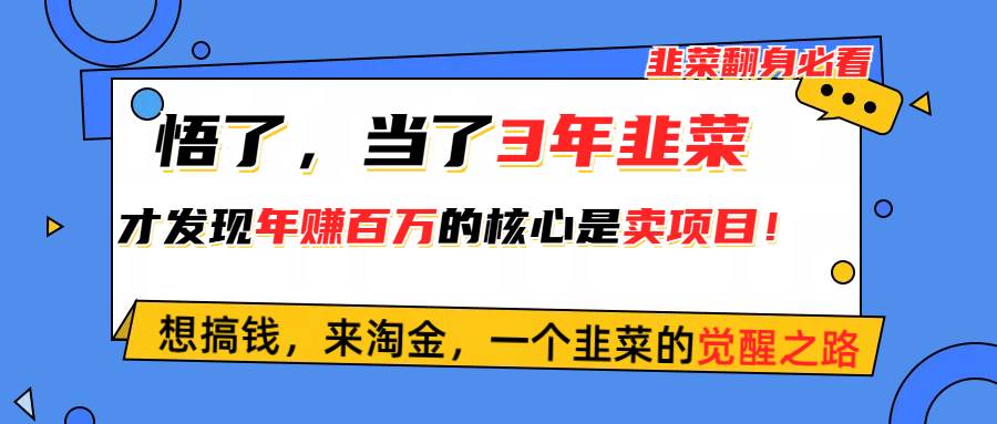 悟了，当了3年韭菜，才发现网赚圈年赚100万的核心是卖项目，含泪分享！-IT吧