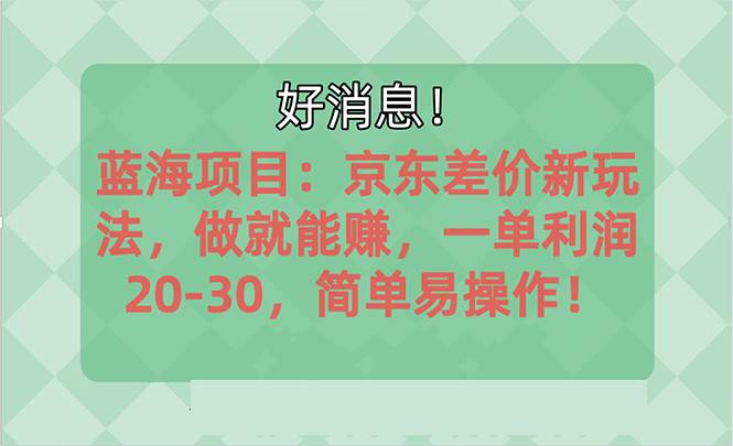 越早知道越能赚到钱的蓝海项目：京东大平台操作，一单利润20-30，简单...-IT吧